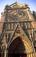 notre dame rose 2 1980s 1990s A4 Photo Print