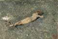 nude 2 Art A4 Photo Print