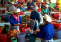 nut sorting market1980s 1990s A4 Photo Print