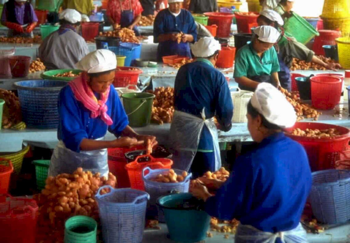 nut sorting market1980s 1990s A4 Photo Print