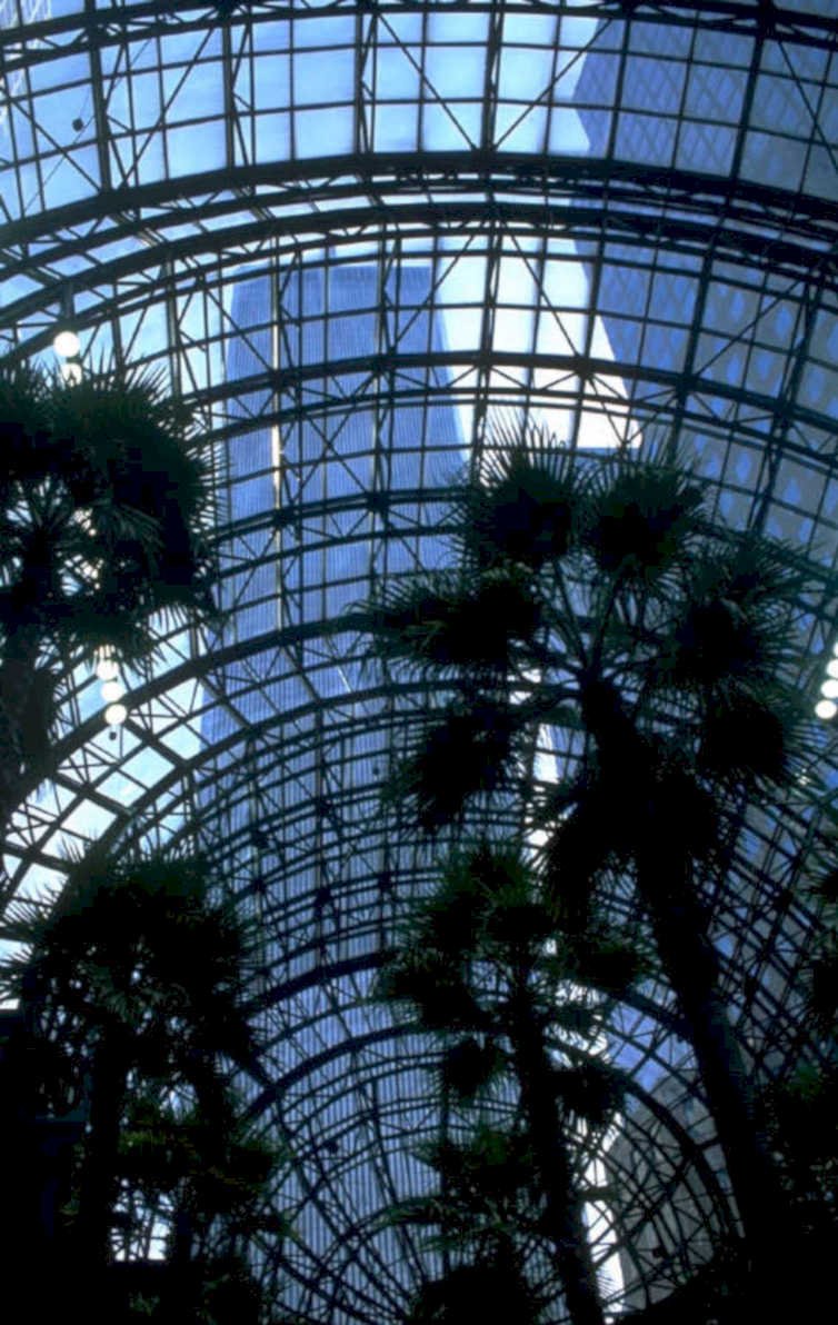nybg hauptconservatory palmtrees 1980s 1990s A4 Photo Print