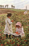 o kelly Among the Poppies Art A4 Photo Print
