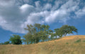 oak hills clouds Vintage A4 Photo Print