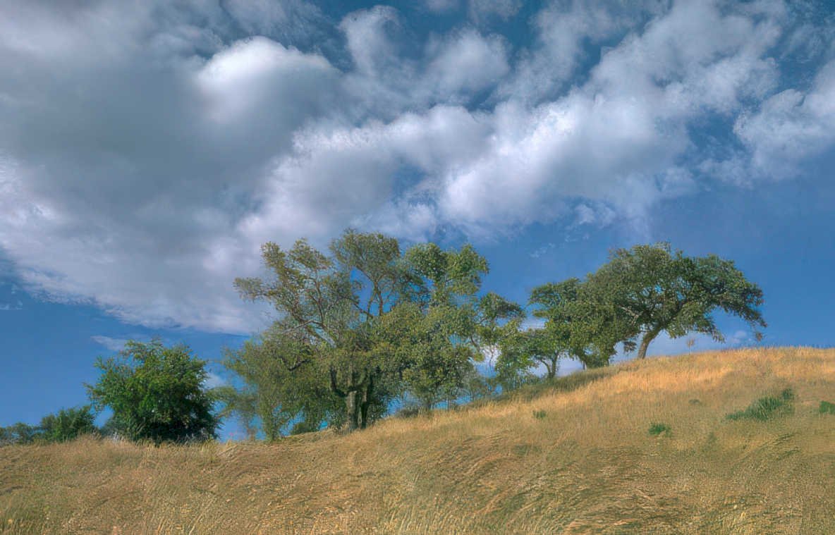 oak hills clouds Vintage A4 Photo Print