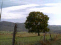 oak hills fence1980s 1990s A4 Photo Print