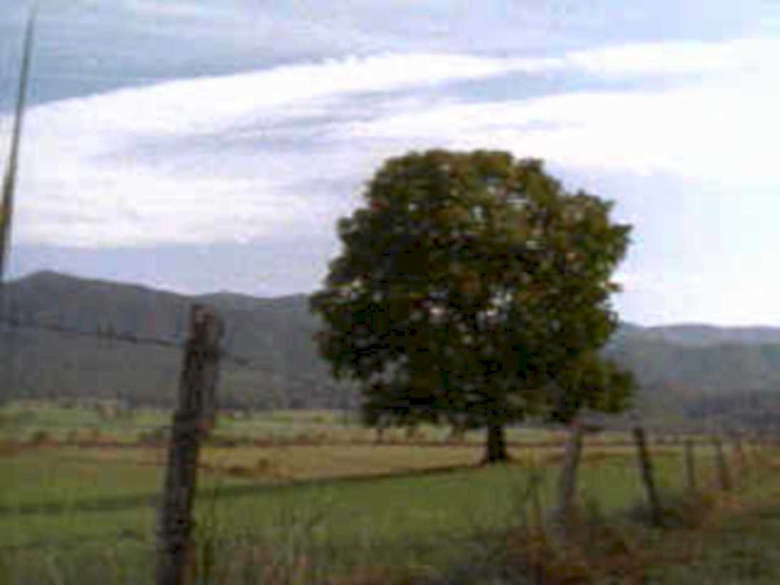 oak hills fence1980s 1990s A4 Photo Print