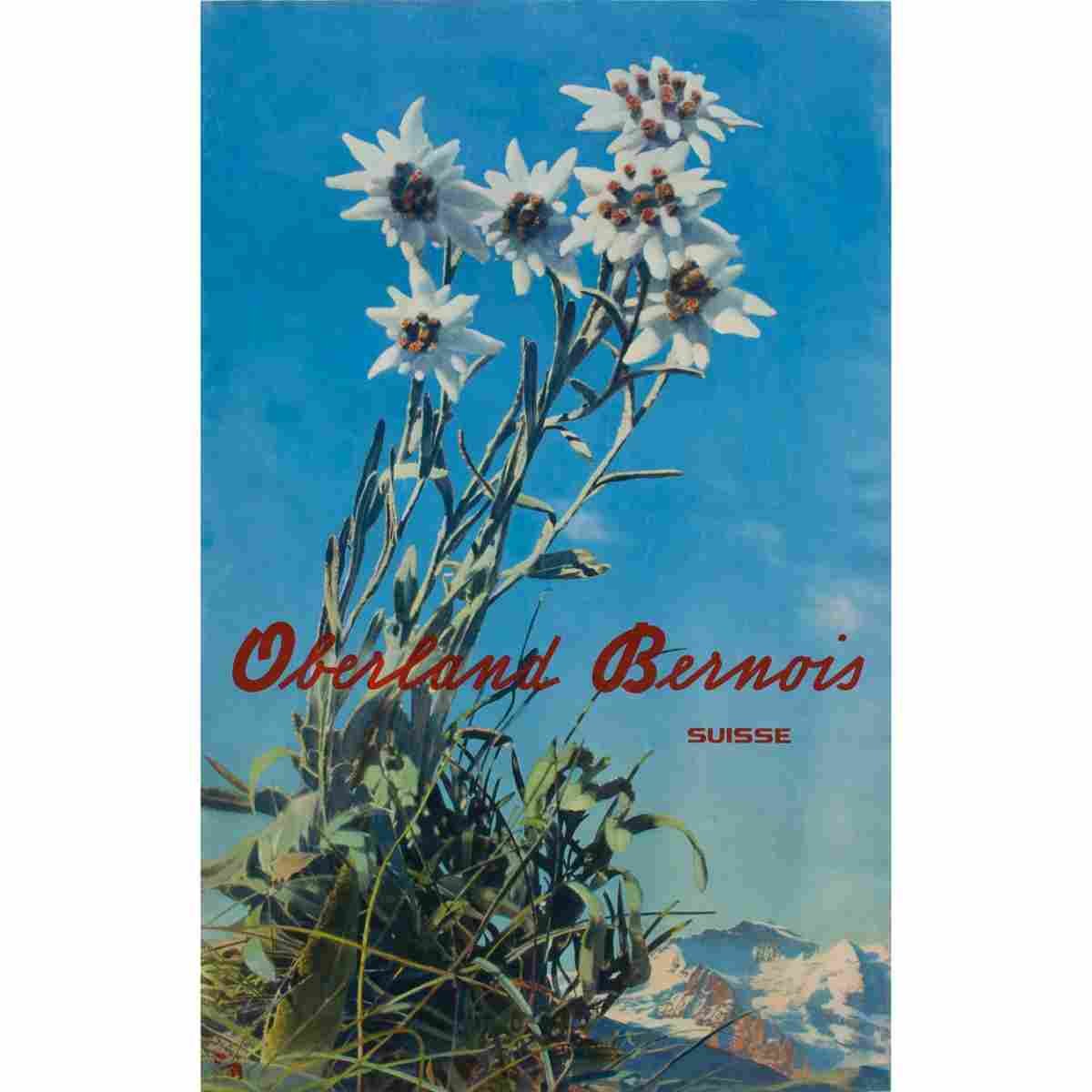 oberland bernois albert steiner amstutz herdeg 1940 2 Advert A4 Photo Print
