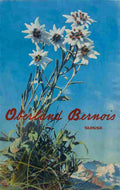 oberland bernois albert steiner amstutz herdeg 1940 4 Advert A4 Photo Print