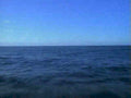 ocean horizon blue1980s 1990s A4 Photo Print