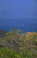 ocean horizon hawaii 1980s 1990s A4 Photo Print