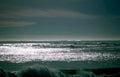 ocean seagull waves Vintage A4 Photo Print