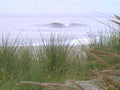 ocean wave beach 11980s 1990s A4 Photo Print