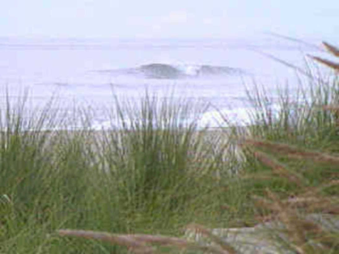 ocean wave beach 11980s 1990s A4 Photo Print
