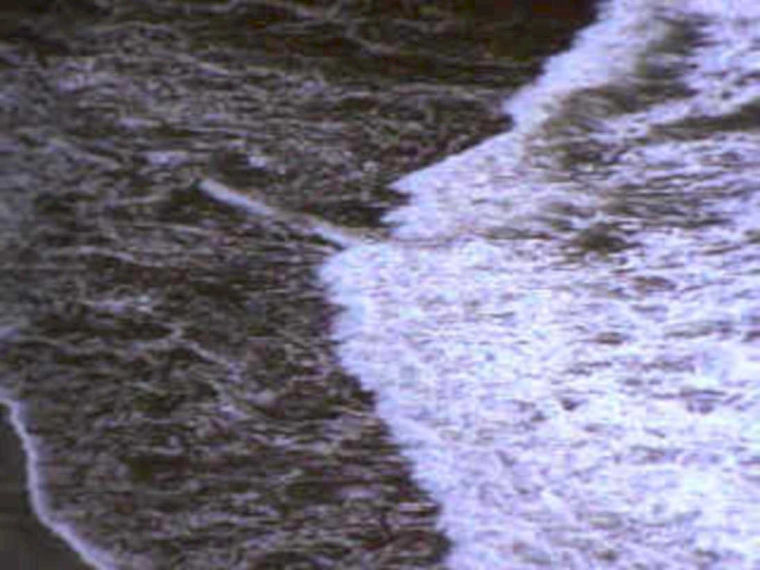 ocean wave beach 21980s 1990s A4 Photo Print