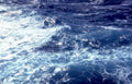 ocean wave foam GIGA 2