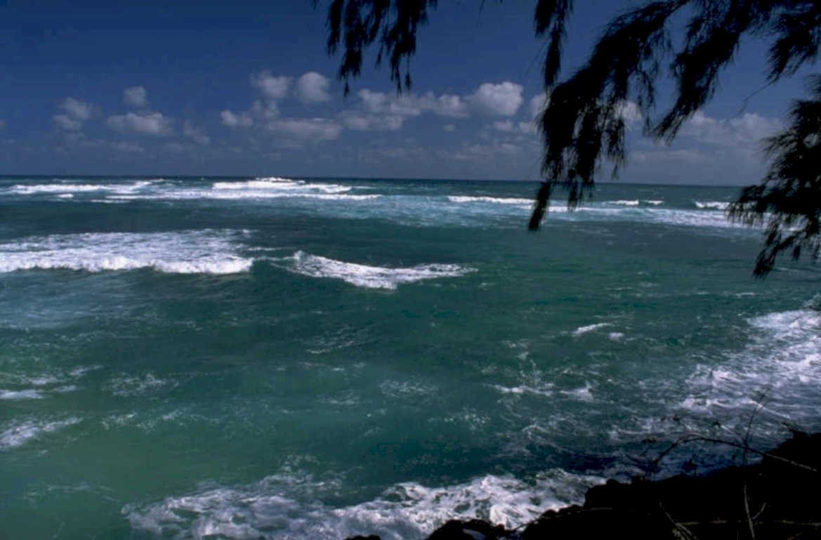 ocean wave hawaii 1980s 1990s A4 Photo Print