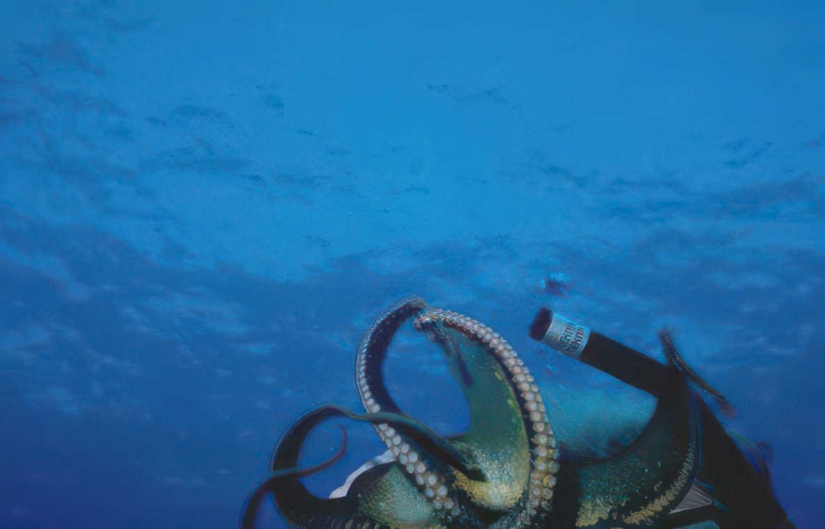 octopus net central Vintage A4 Photo Print