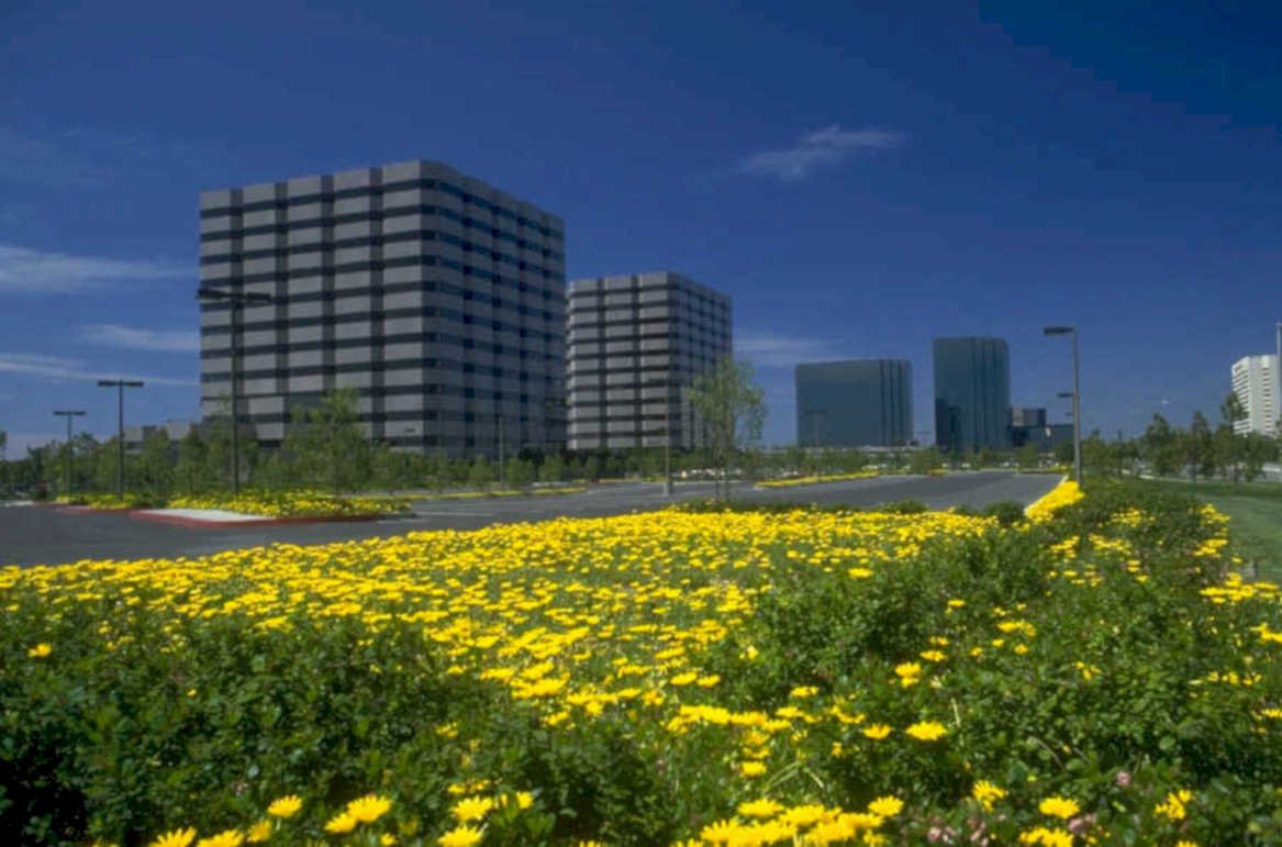 office buildings dandelions 1980s 1990s A4 Photo Print