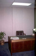 office desk plant Vintage A4 Photo Print