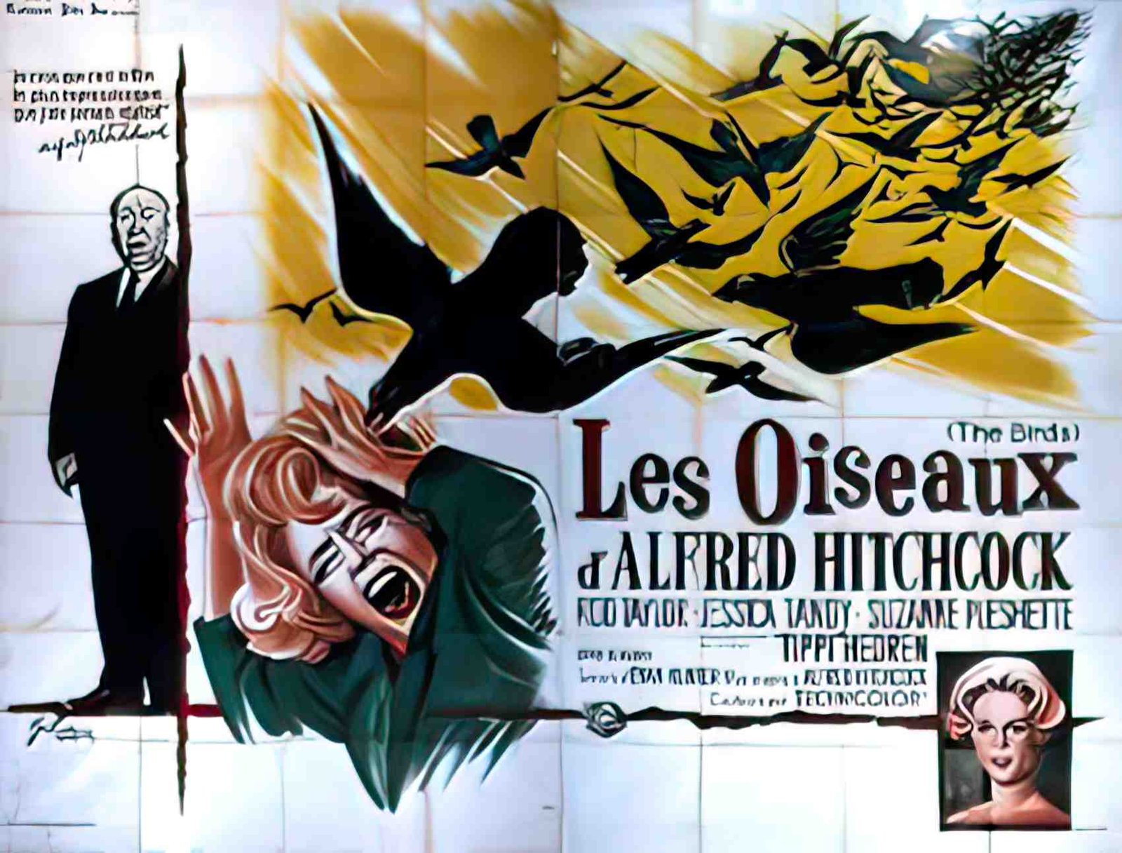 oiseaux les 4P Advert A4 Photo Print