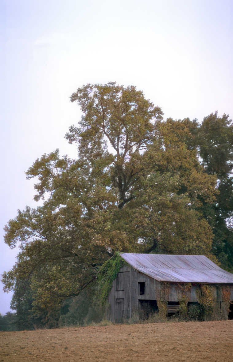 old barn autumn Vintage A4 Photo Print