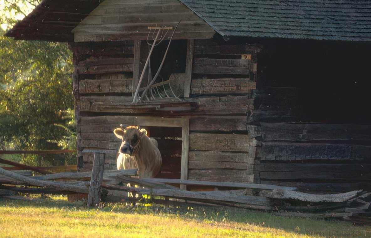 old log barn Vintage A4 Photo Print