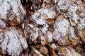 olivebark macro mediterranean1980s 1990s A4 Photo Print