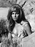 one million years bc 08 film star poster A4 Photo Print