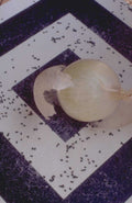 onion peppercorns stilllife 1980s 1990s A4 Photo Print