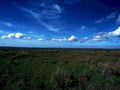 open grassland sky1980s 1990s A4 Photo Print