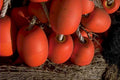 orange buoys net 1980s 1990s A4 Photo Print
