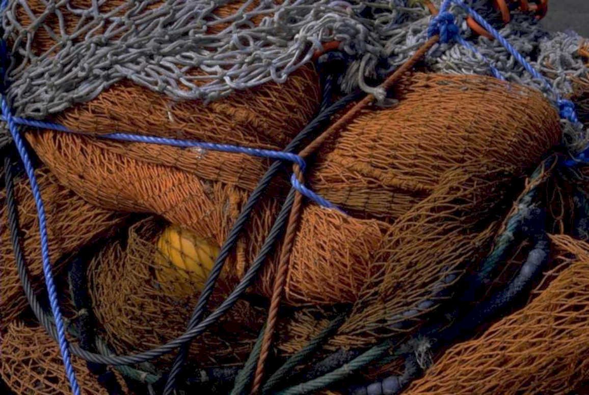 orange net detail 1980s 1990s A4 Photo Print