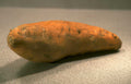 orange sweet potato Vintage A4 Photo Print