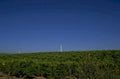 oranges grove california 1980s 1990s A4 Photo Print