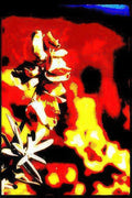 orchid bloom art Vintage A4 Photo Print