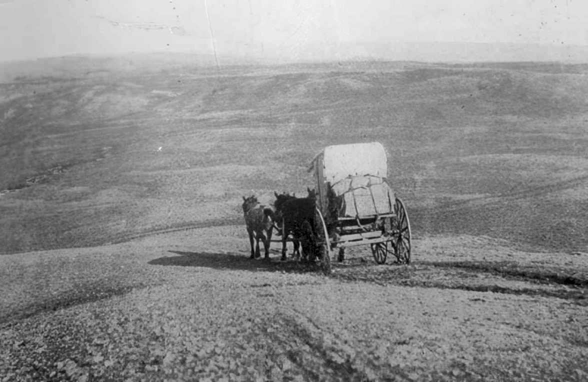 oregon trail wagon Vintage world war A4 Photo Print