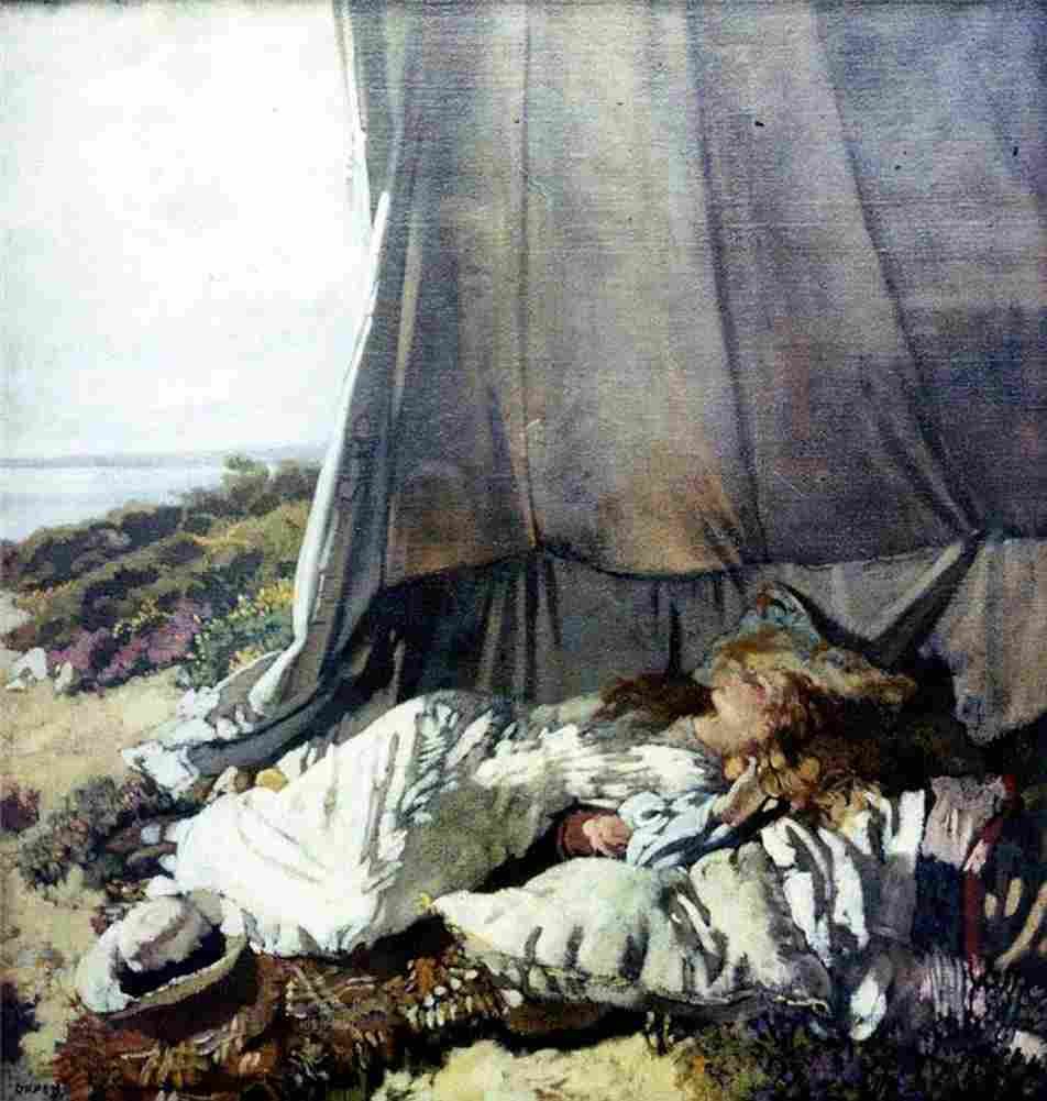 orp Afternoon Sleep Art A4 Photo Print