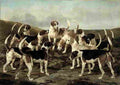 osbw The Hounds from York and Ainsty Kennels Art A4 Photo Print