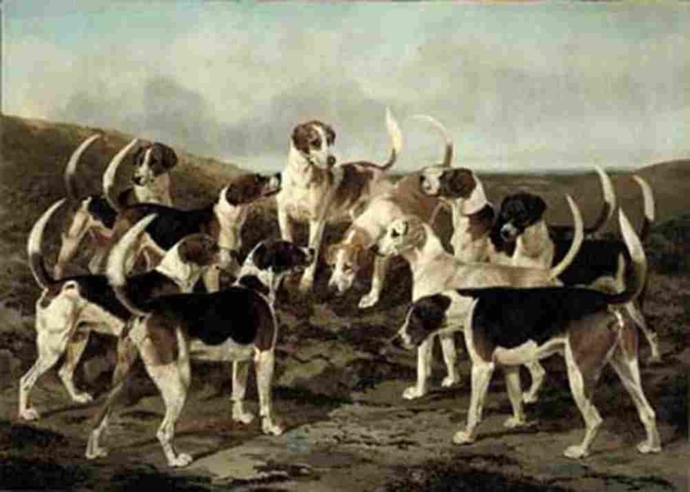 osbw The Hounds from York and Ainsty Kennels Art A4 Photo Print