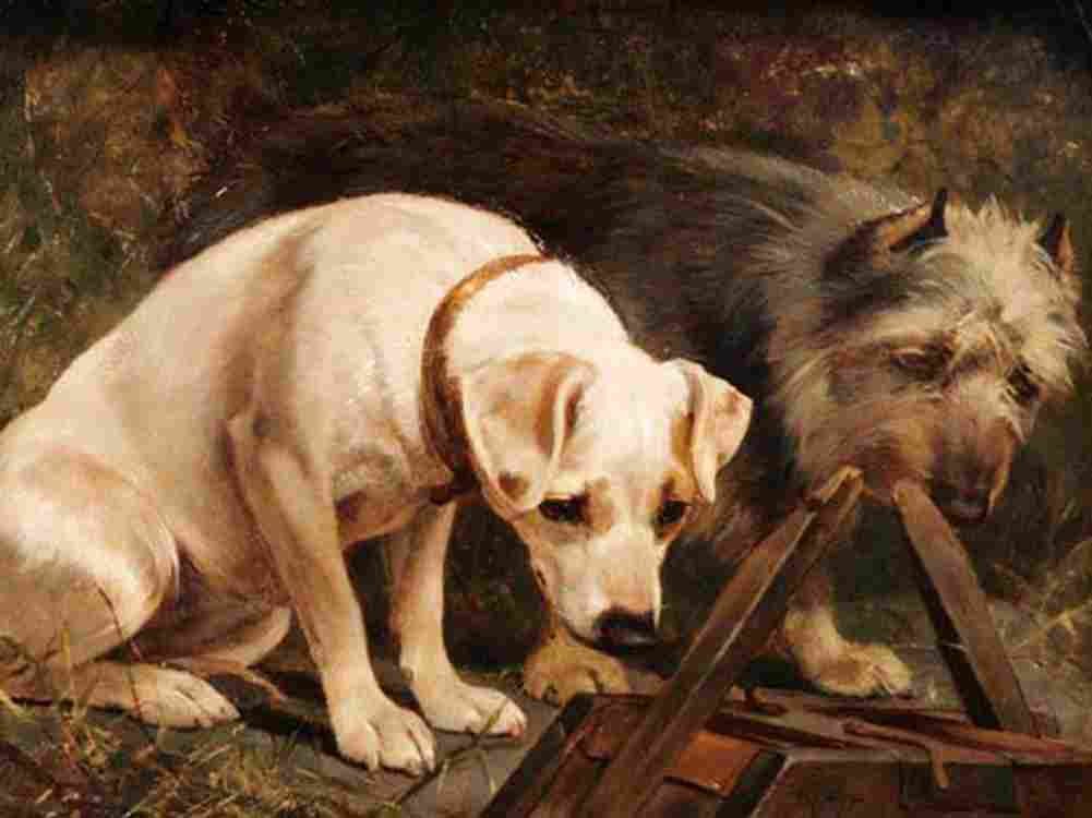 osbw Two Dogs in a Barn Art A4 Photo Print