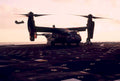 osprey carrier sunrise1980s 1990s A4 Photo Print