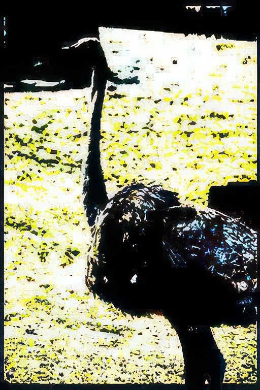 ostrich sand yellow Vintage A4 Photo Print