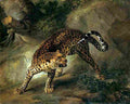 oud Leopard Art A4 Photo Print