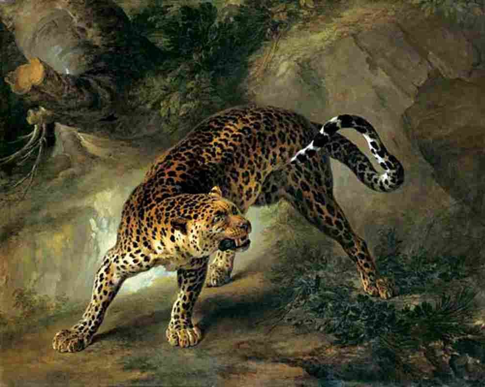 oud Leopard Art A4 Photo Print