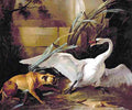 oud Swan Attacked by a Dog Art A4 Photo Print