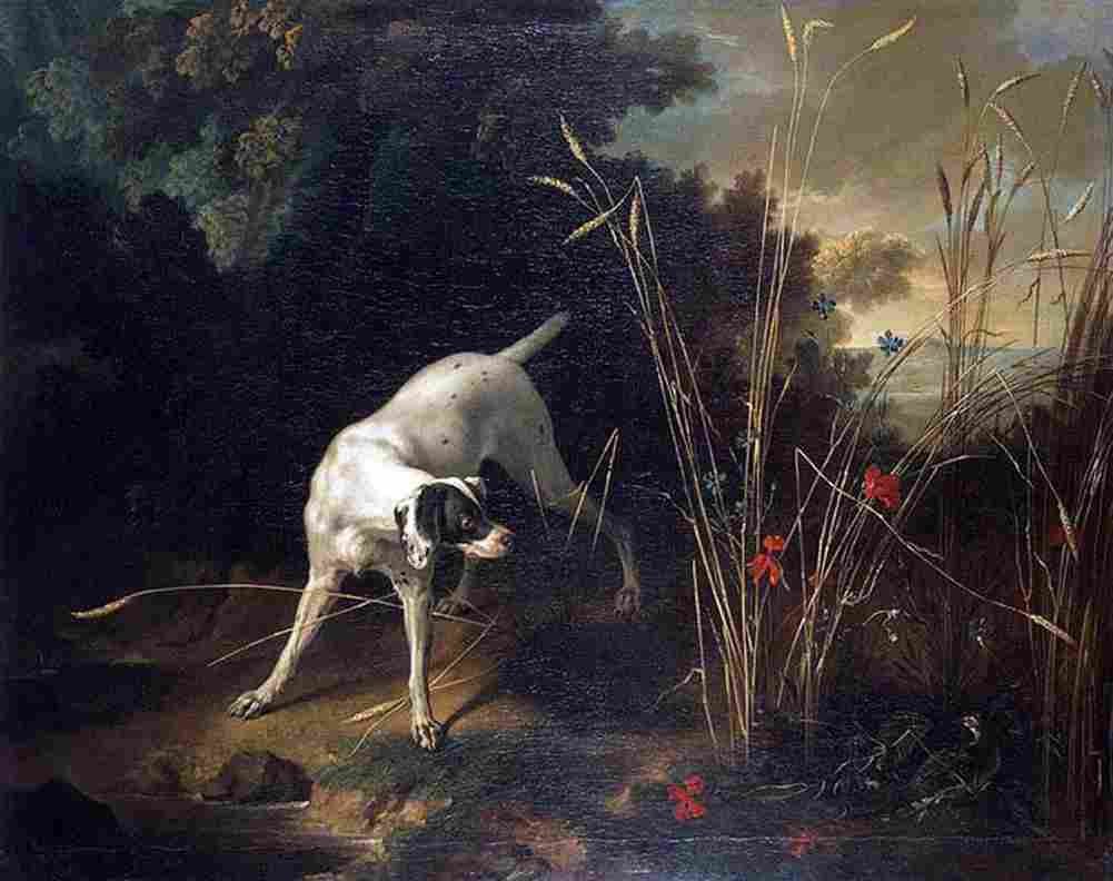 oud dog Pointing a partridge Art A4 Photo Print