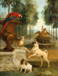 oudry three dogs and a mcaw in the park Art A4 Photo Print