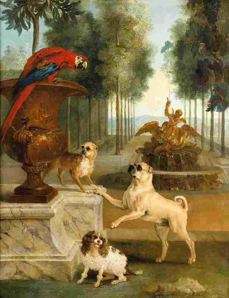 oudry three dogs and a mcaw in the park Art A4 Photo Print