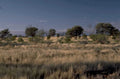 outback golden sky 1980s 1990s A4 Photo Print