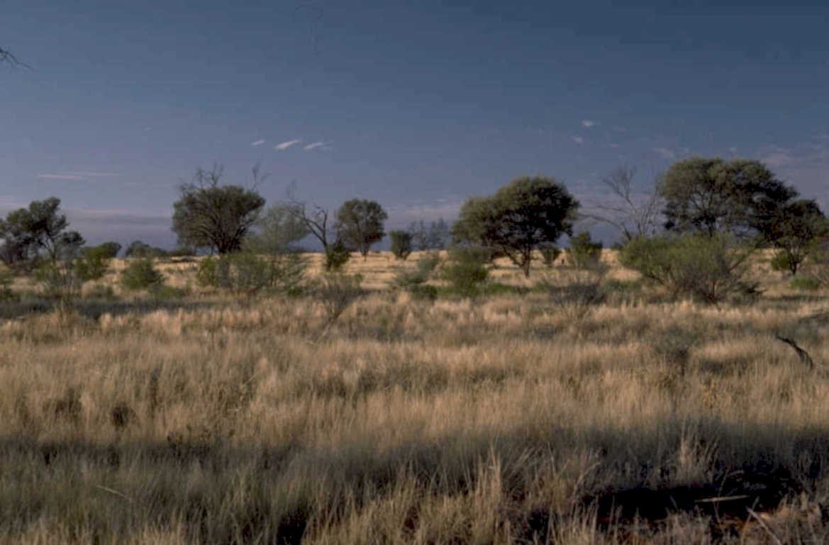 outback golden sky 1980s 1990s A4 Photo Print